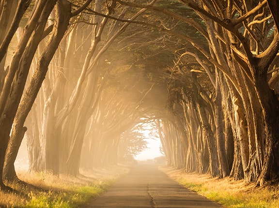 Is There a Resurrection?